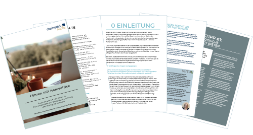 Rheingold Report - Psychologische Leitlinien für Führunsgkräfte