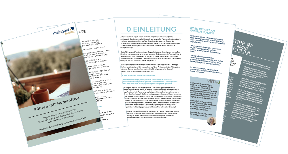 Rheingold Report - Psychologische Leitlinien für Führungskräfte