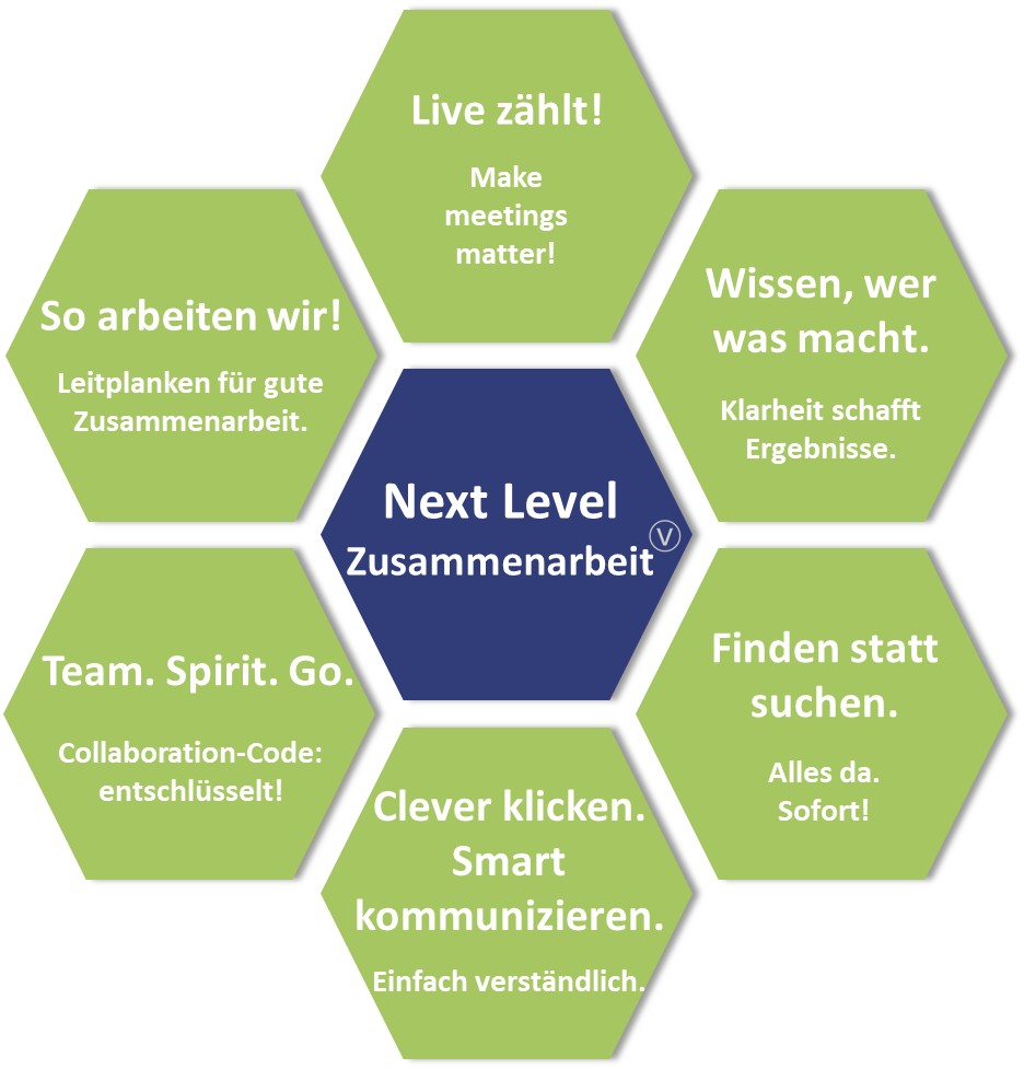 virtuu Modell Next Level Zusammenarbeit im Team